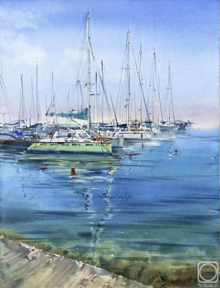 �������. ��������� �������. ���� �� ������� 19