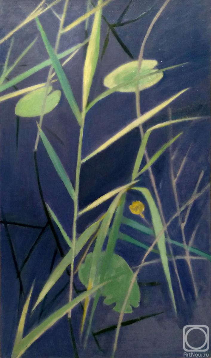 ������� ������ �� ������. �������� �������. ����� "�����". ������, �� ������ �����