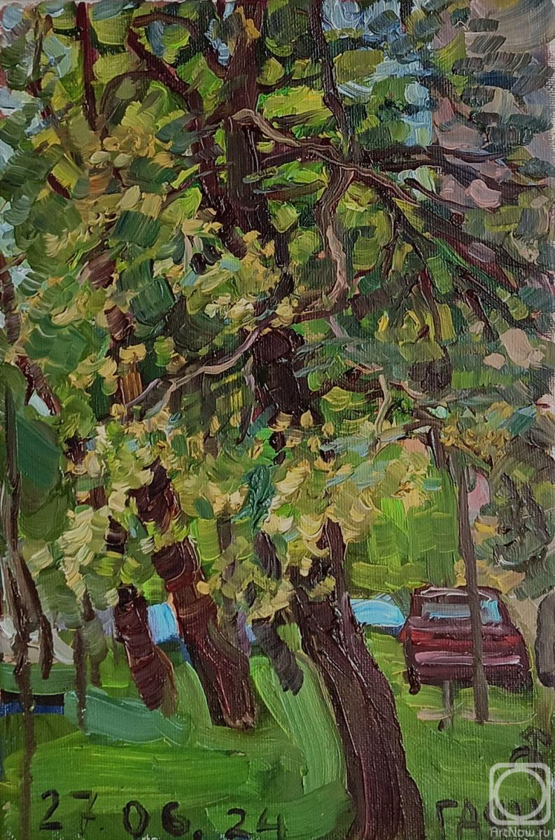 ������� ������ �� ������. ������������� �����. ���� ������ � ����