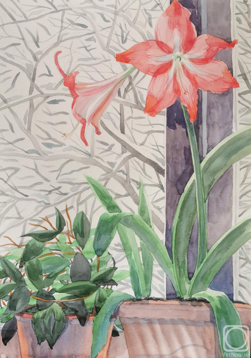 �������. ��������� ����. ����������� ����� � ������