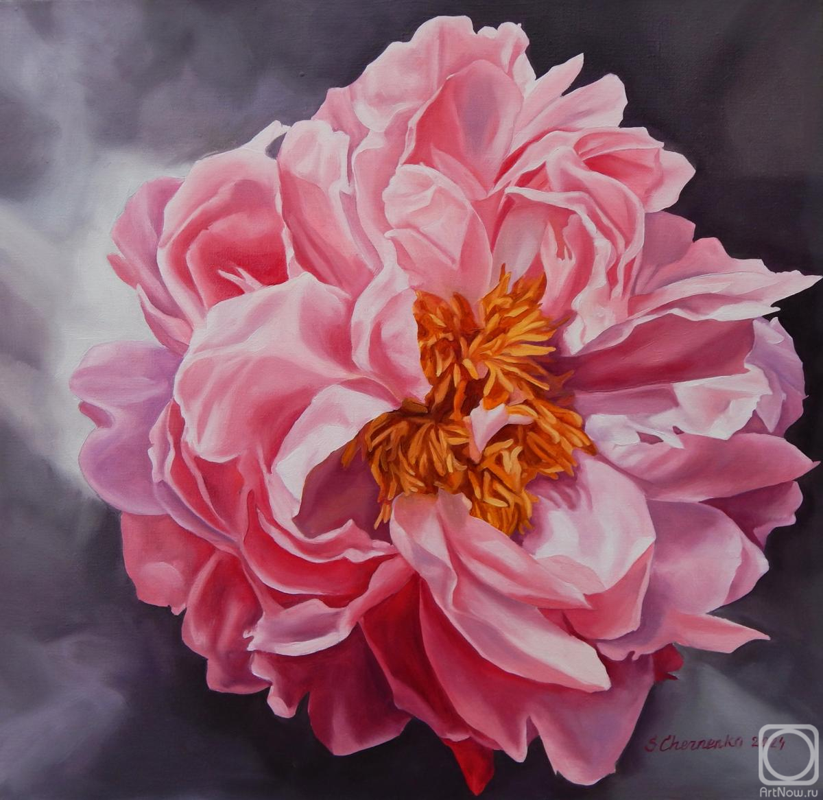 ������� ������ �� ������. �������� ��������. ��������