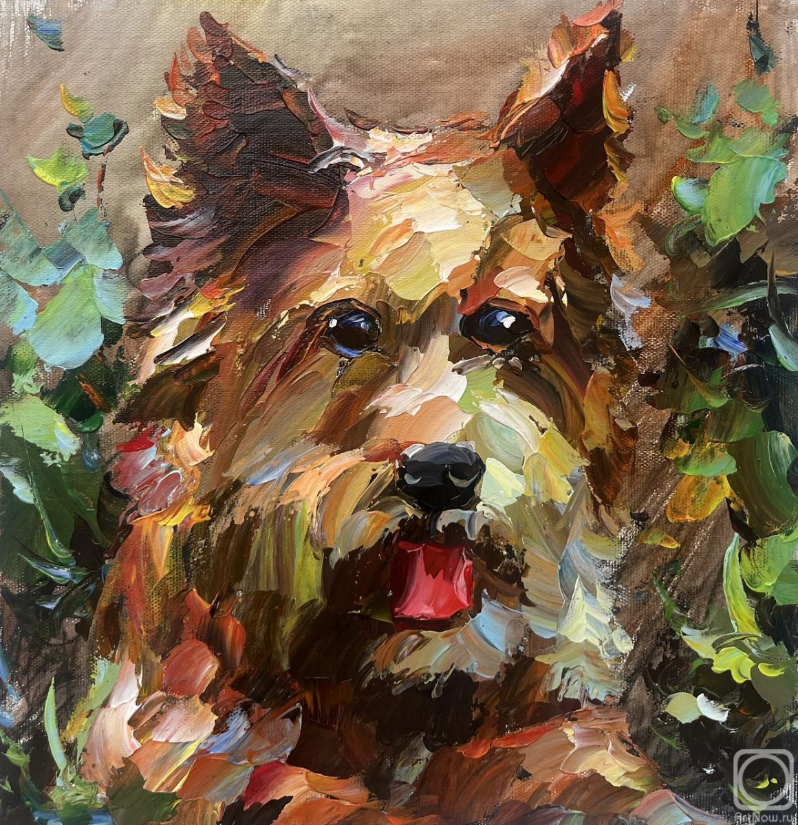 ������� ������ �� ������. �������� ����. ������-������. �� ������ ���������