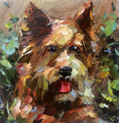 ������� �������-������. �� ������ ���������