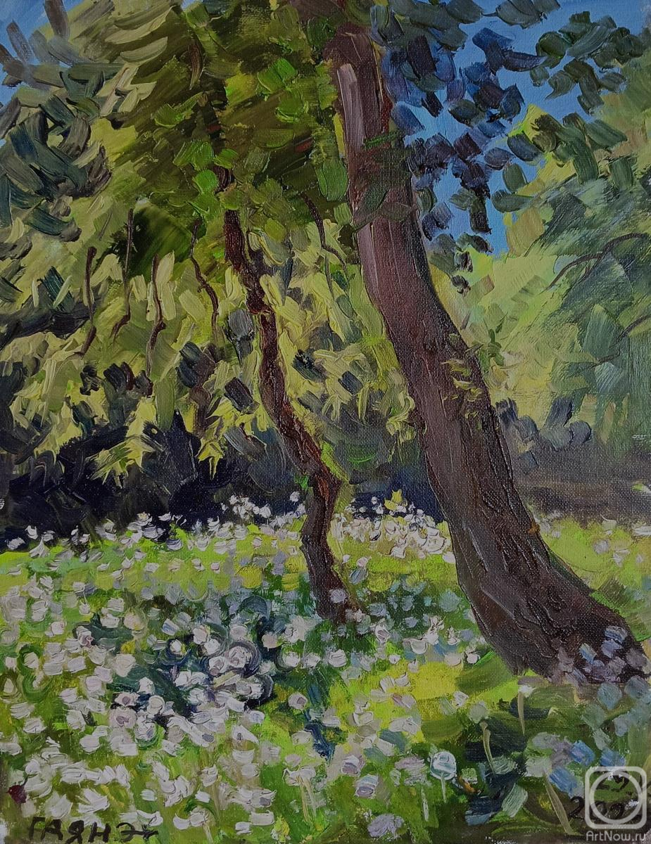 �������. ������������� �����. ����, ���������� ���������