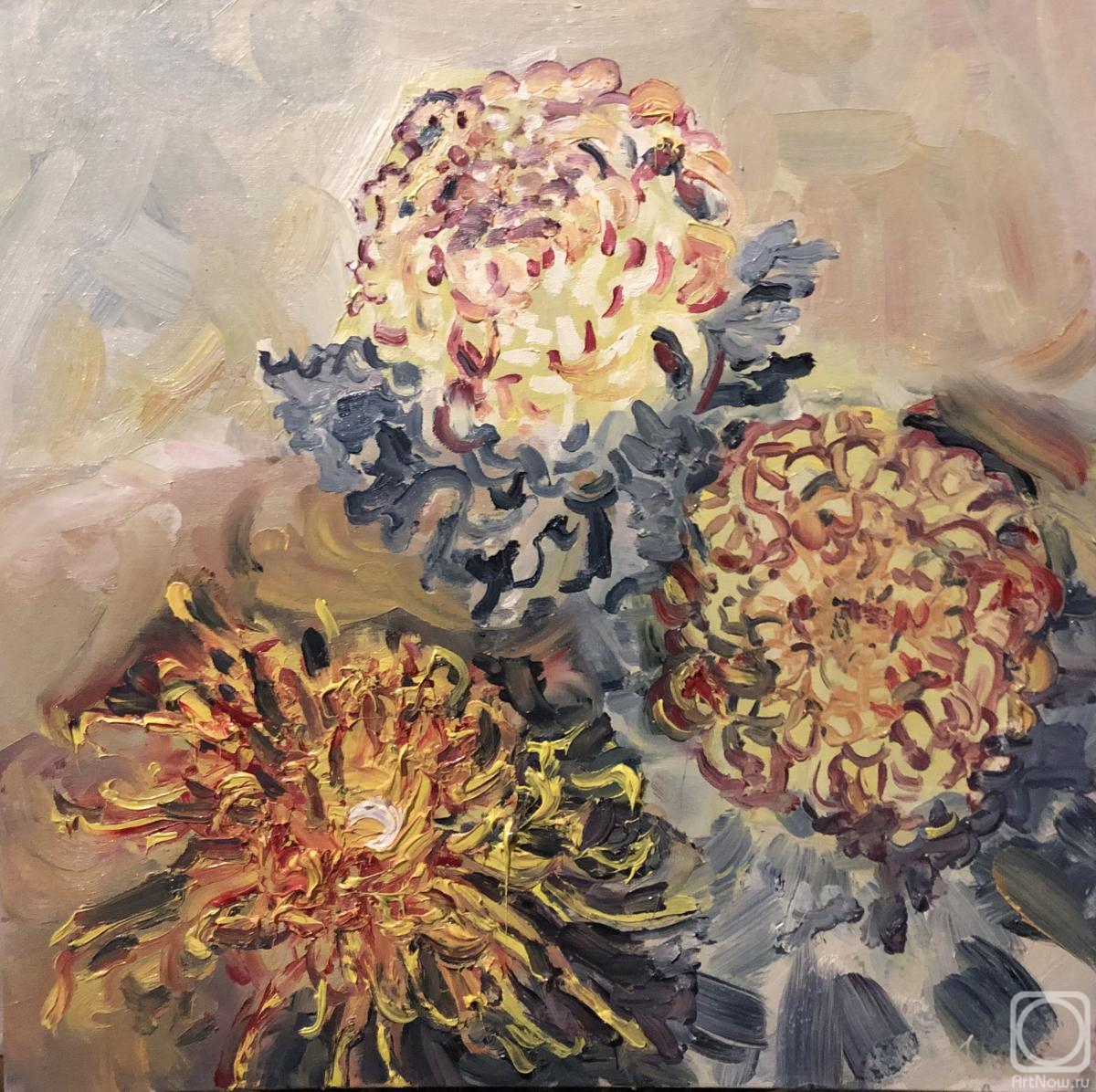 ������� ������ �� ������. ����� ������. ���������� ����������, ������� ������ ������