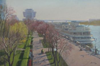 Spring on the embankment