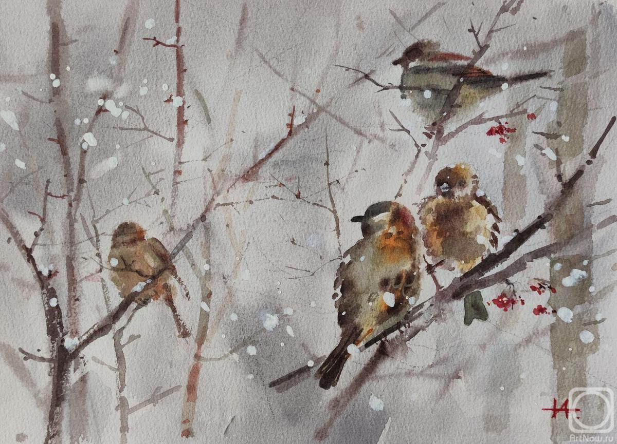 �������. ������� �����. ������