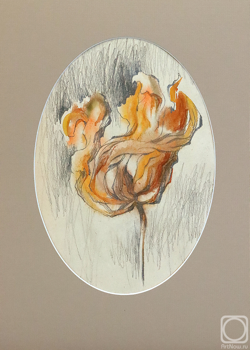 �������. ���� �����. �������