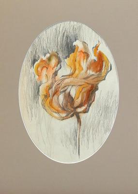 �������. ���� �����