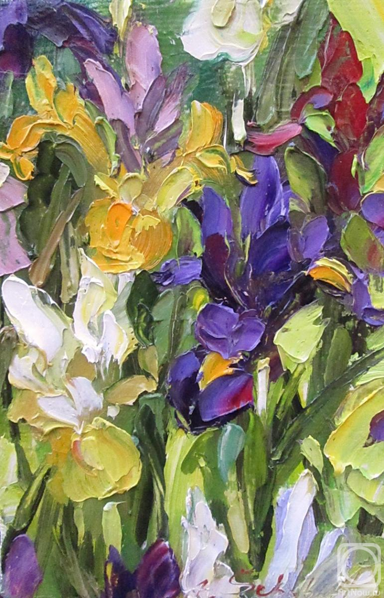 ������� ������ �� ������. ������ �������. ����� �����