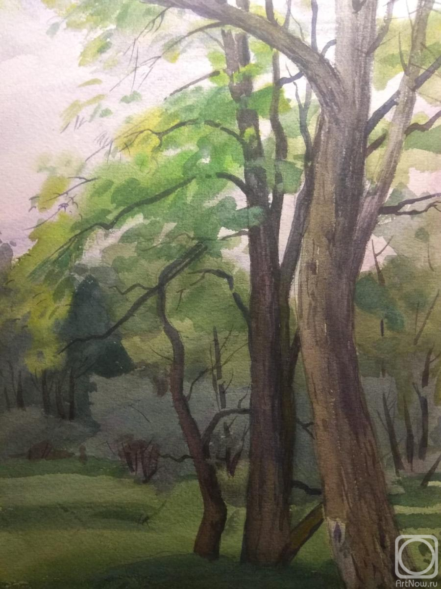 �������. ���������� ����. ����. �������