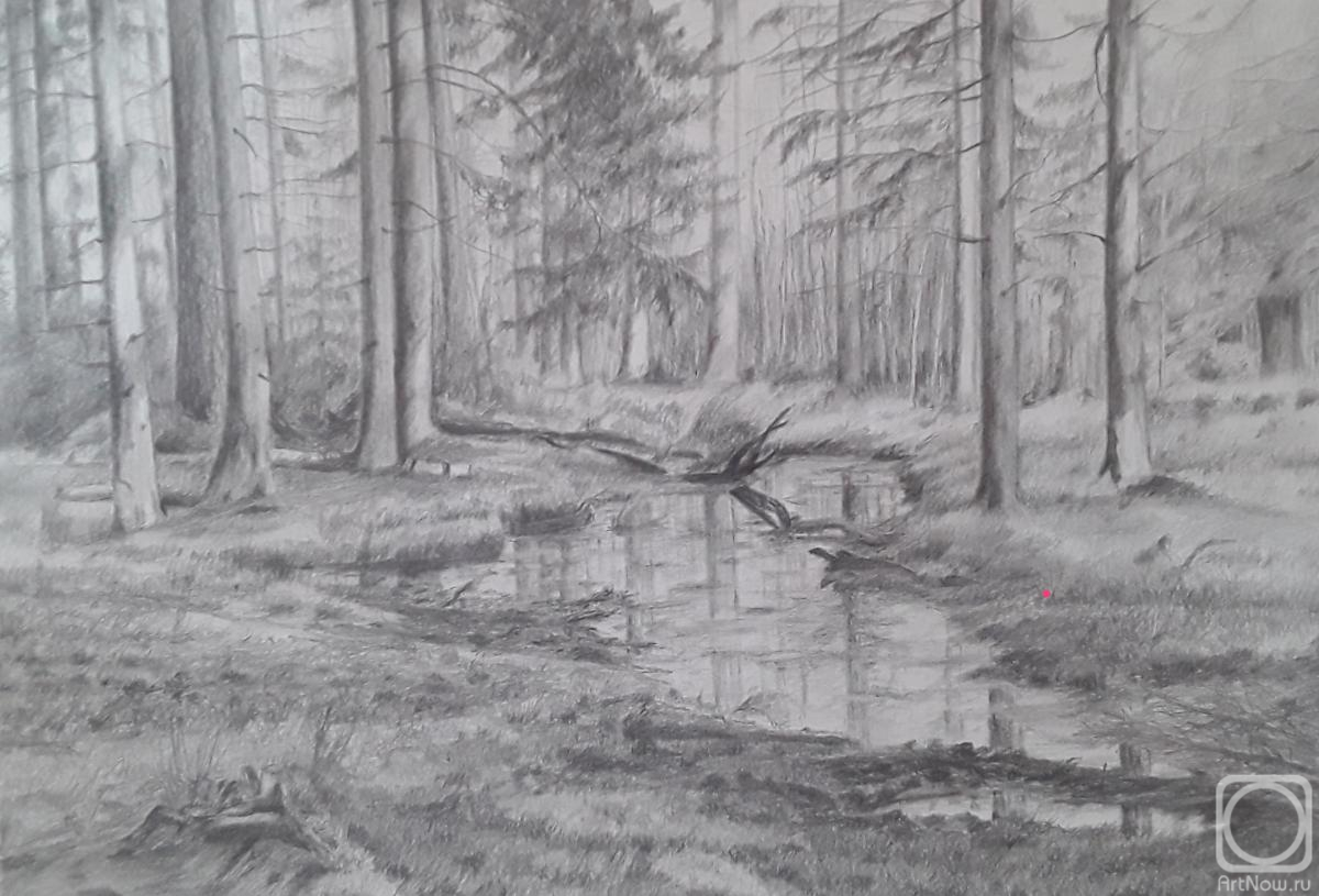 �������. ��� ������. ������ � ����