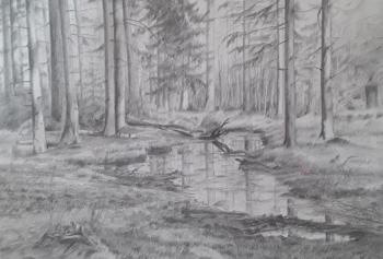 ������ � ����