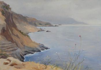 The coast in the vicinity of Gazipasa (Türkiye)