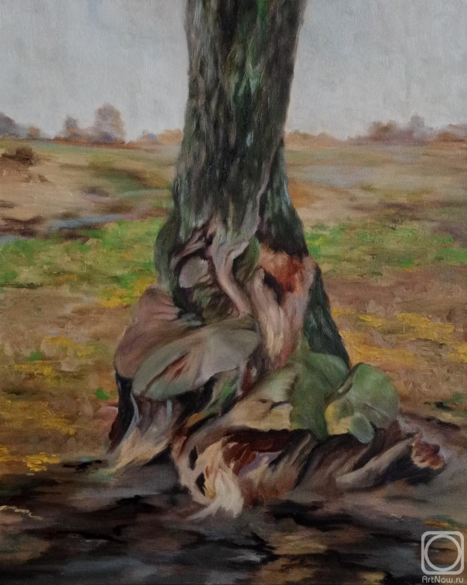 ������� ������ �� ������. ��������� �������. �������, #1