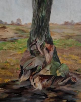 ������� ��������, #1�