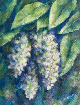 ������� �������� (���� ������ �������). ������ ����