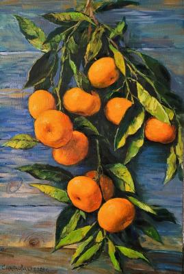 Abkhazian tangerines. Simonova Olga