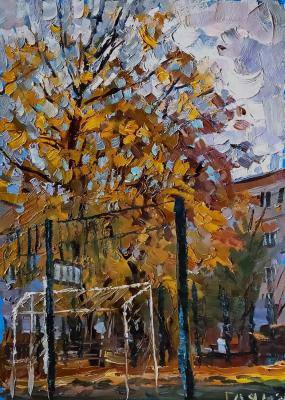 Autumn, sports ground in our yard. Dobrovolskaya Gayane
