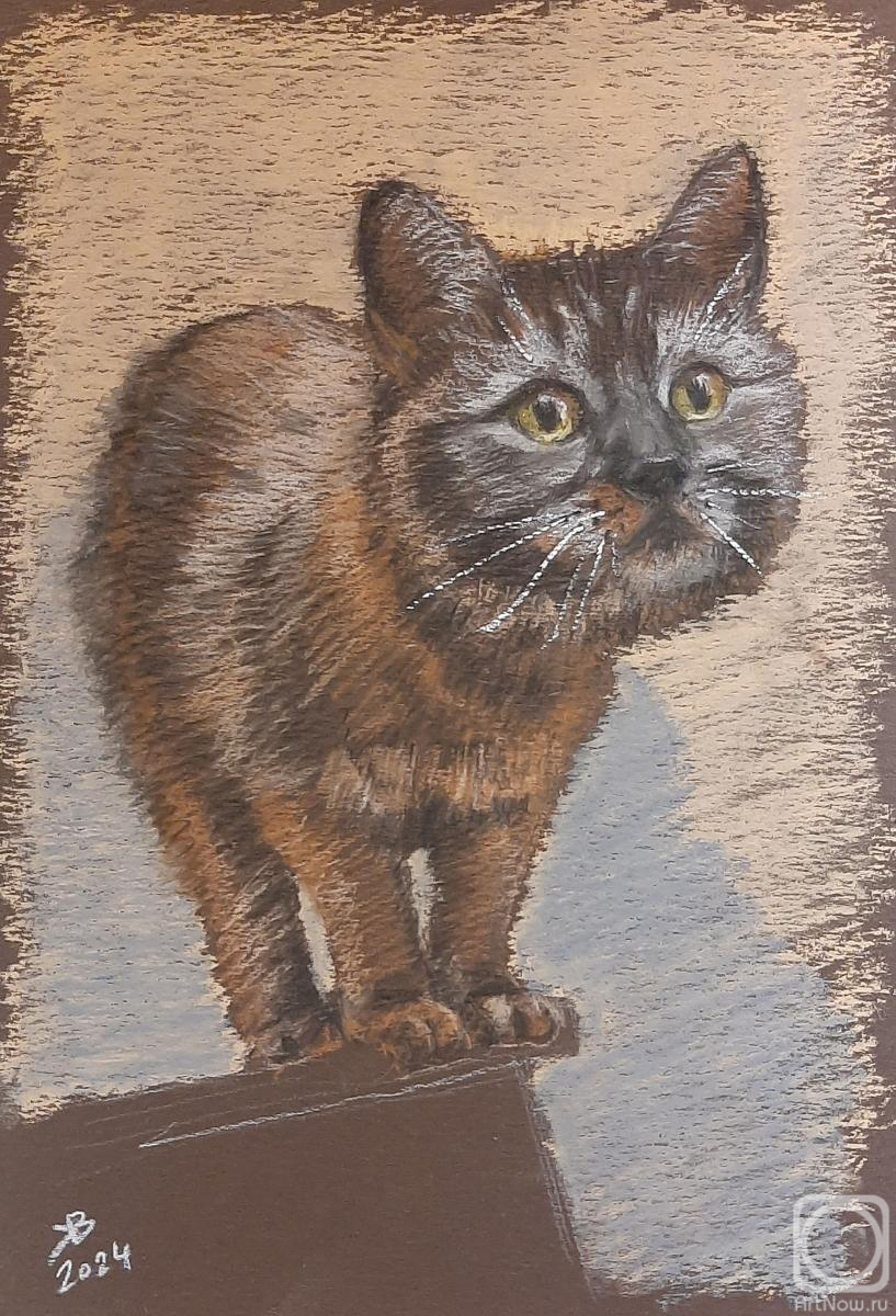 Kashirtseva Viktoriya. Untitled