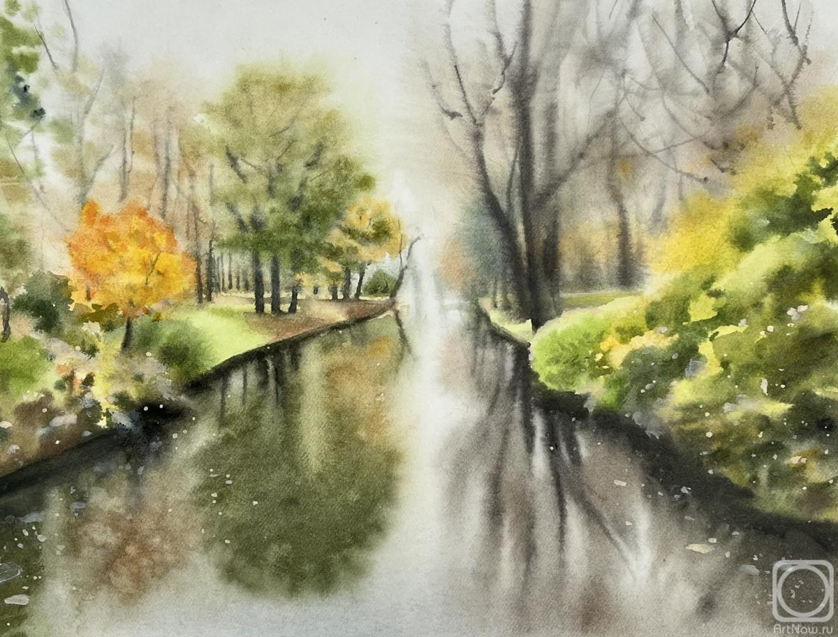 �������. ���������� ����. ������� ���� � ������