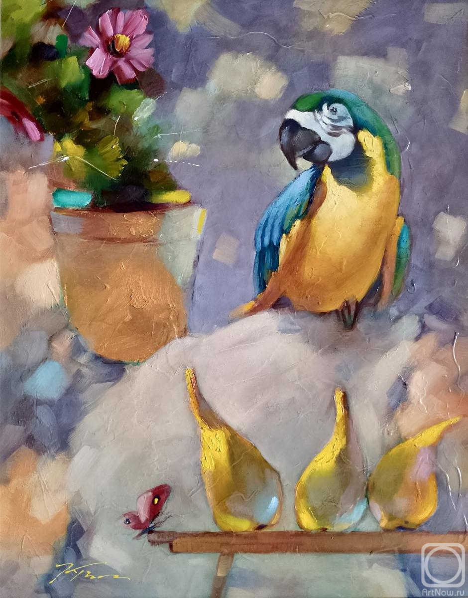 �������. �������� ������. �����, ������, �������