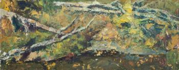 Deadwood by the river. Nikiforenko Mariya