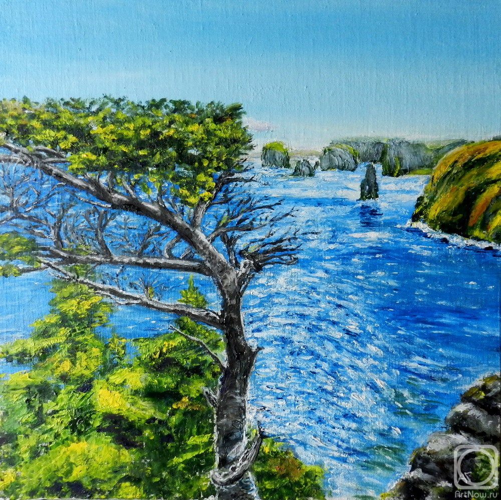 ������� ������ �� ������. ������ ������. �������� ����