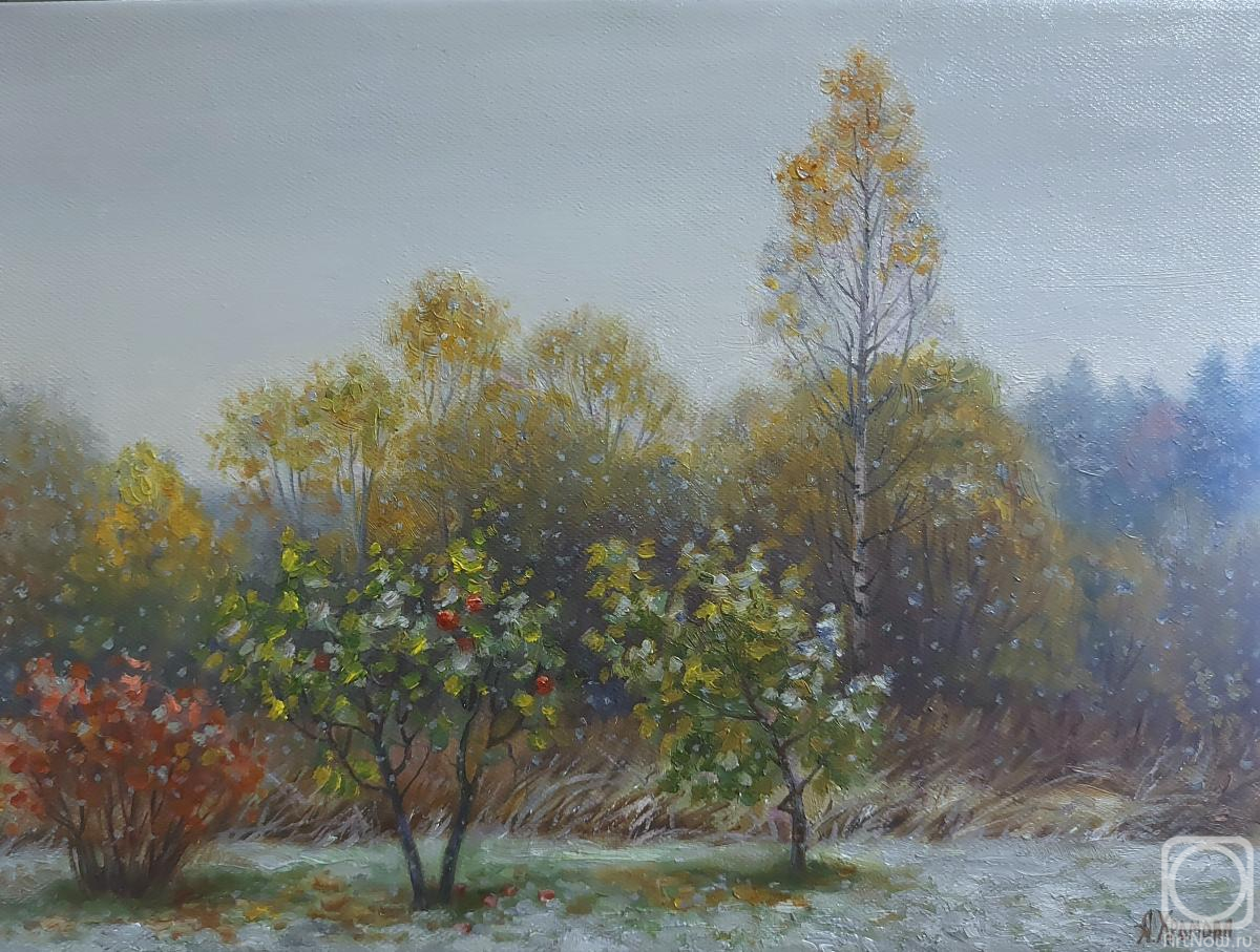 ������� ������ �� ������. ������� ���������. ������ ����