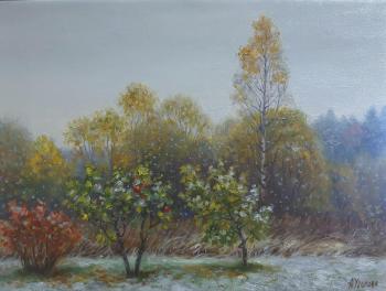 ������� ������� ����