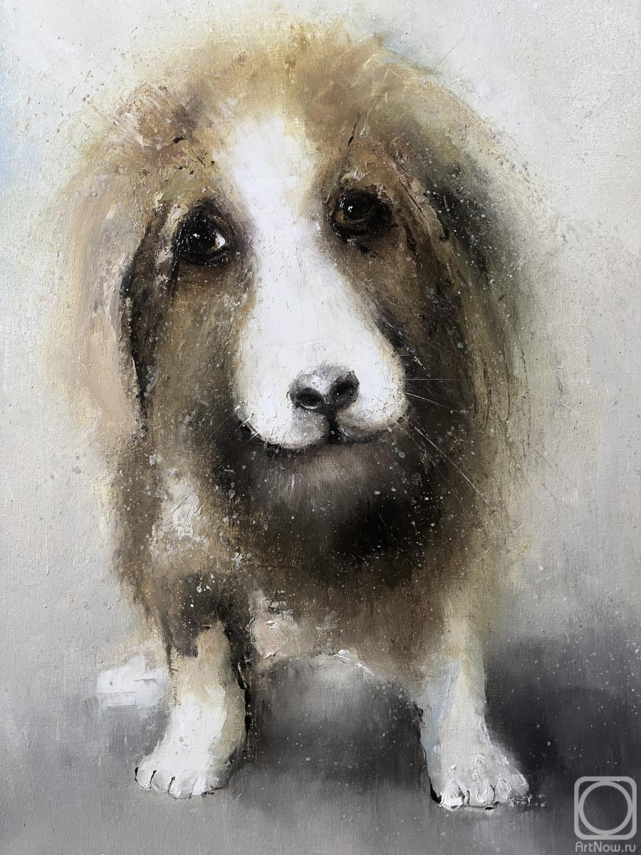 ������� ������ �� ������. �������� �����. ��� ������