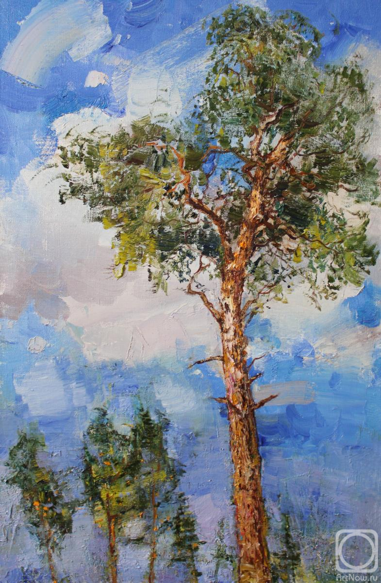 ������� ������ �� ������. ��������� ����������. ������ ���� � �����������