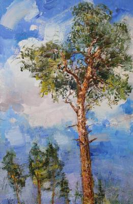 A summer day in the reserve. Kodentseva Aleksandra