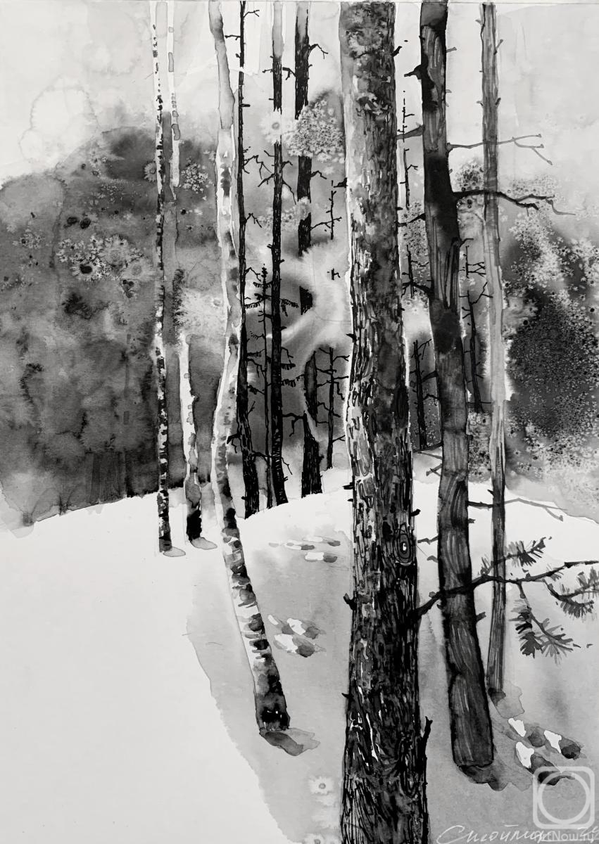 Stoylik liudmila. A forest fairy tale