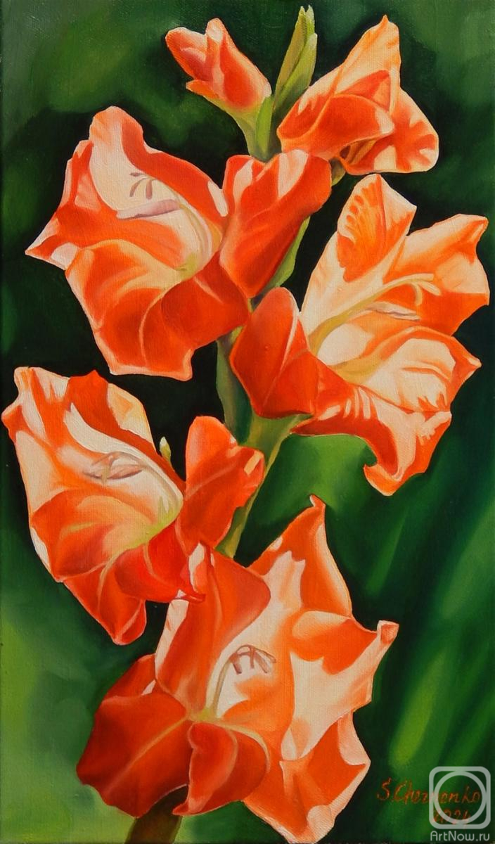 ������� ������ �� ������. �������� ��������. ����������