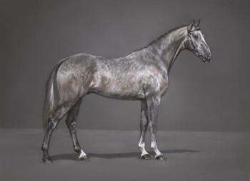 ����� �� �����