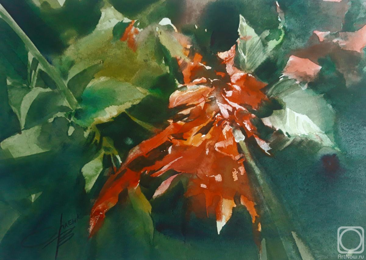 �������. ������� ��������. �������