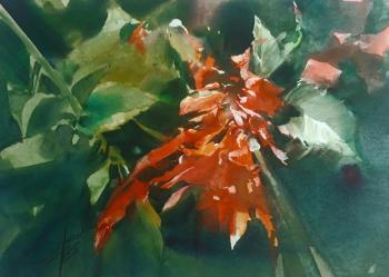 ������� (������� ������). ������� ��������