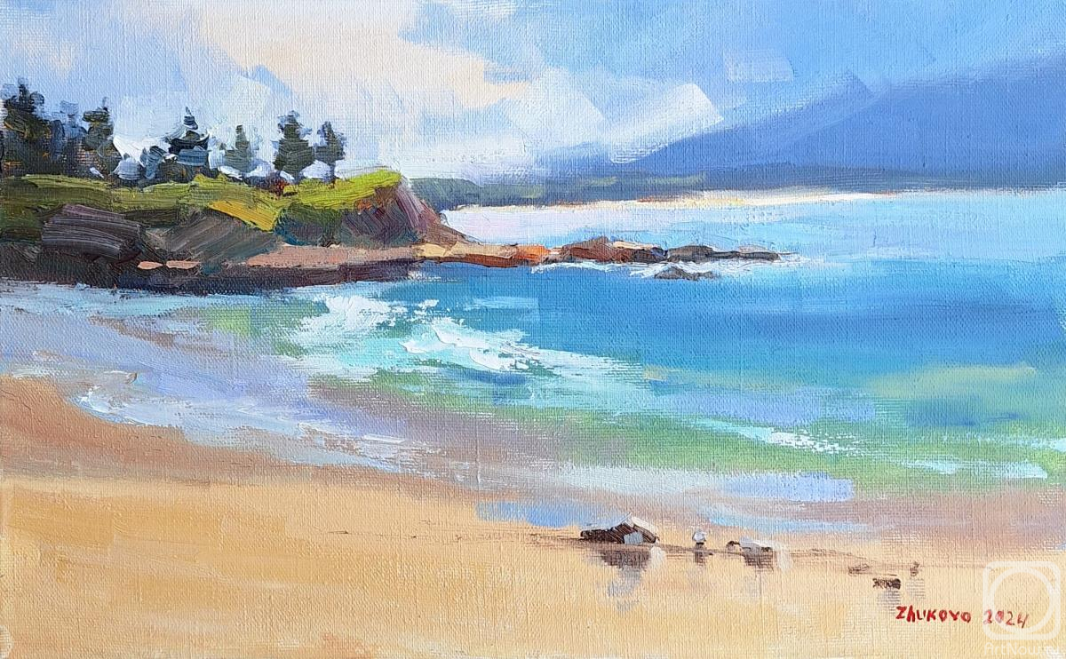 ������� ������ �� ������. ������ ������. Bermagui beach