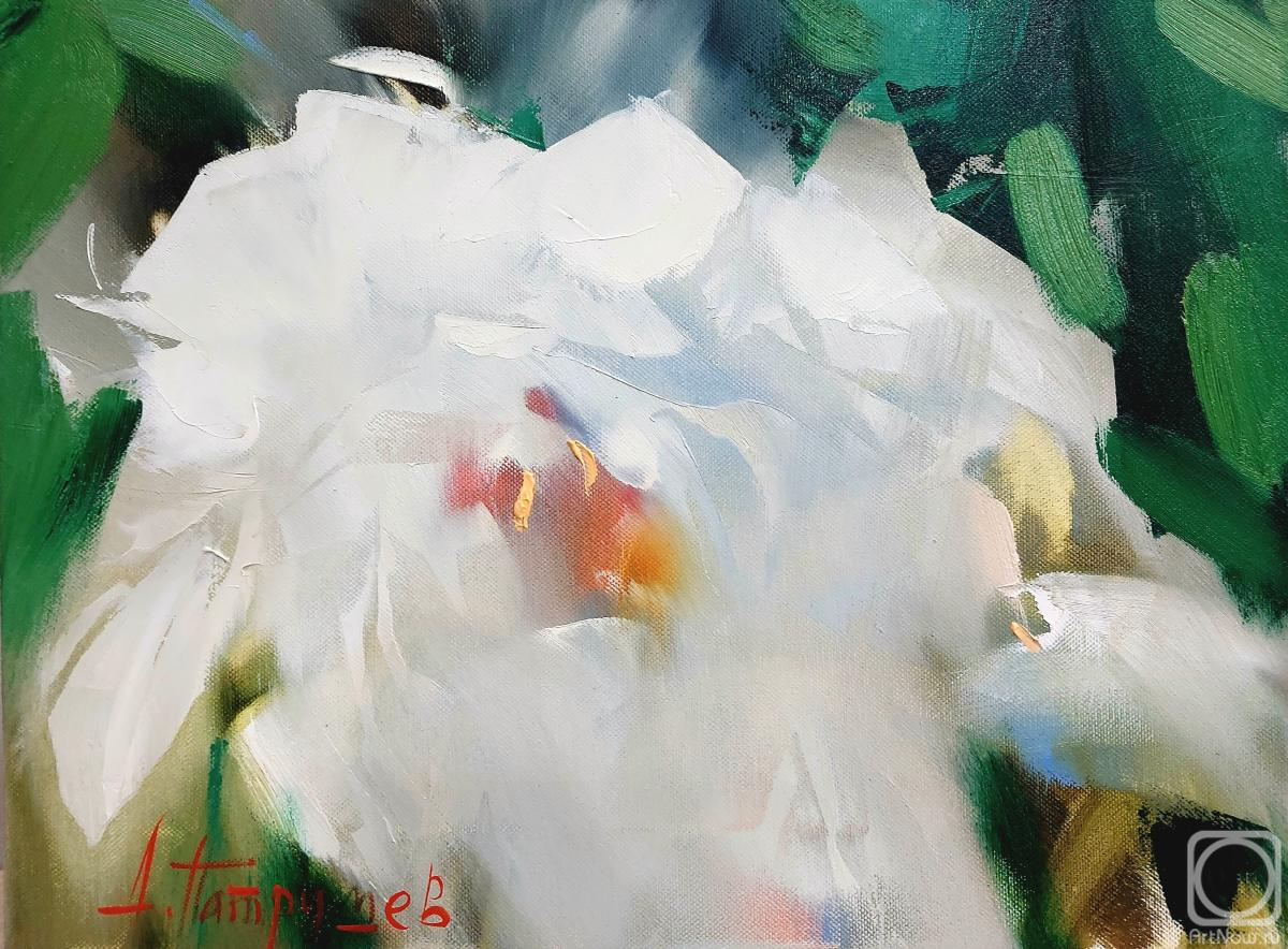 ������� ������ �� ������. �������� �������. ����������� ��������