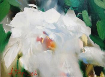 ������� ������������ ��������