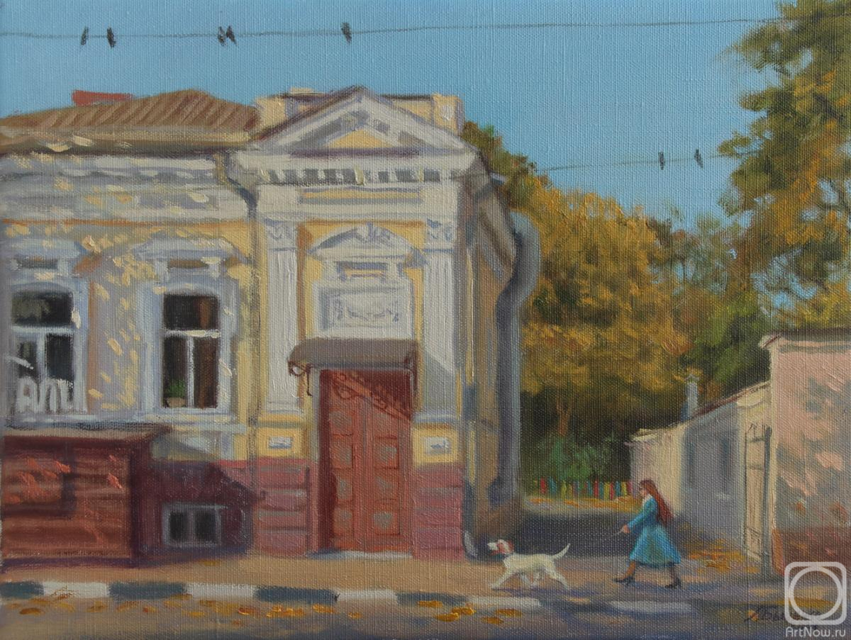 Bychenko Lyubov. Walk around the Sovetskaya city of Rostoa-on-Don