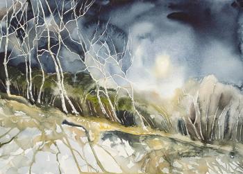 ������ ������. ���������� ����