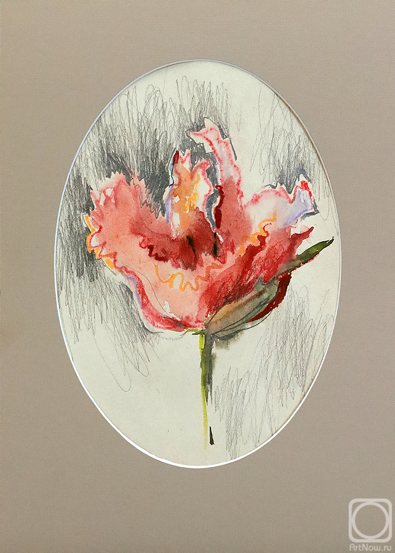 �������. ���� �����. �������