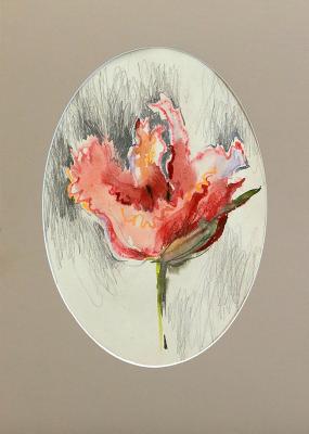 �������. ���� �����