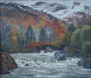 The shores of Belaya. Manakyan Aleksandr