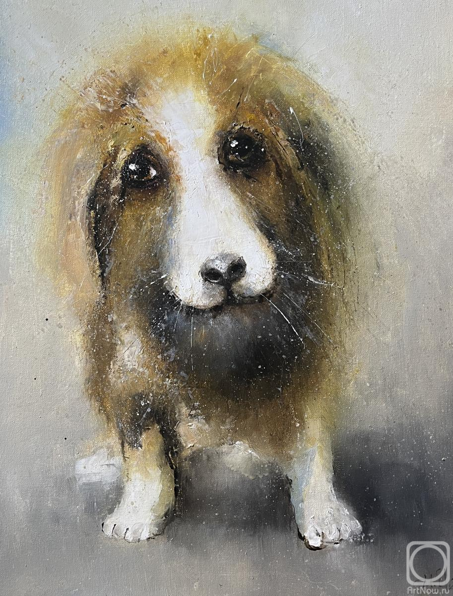 ������� ������ �� ������. �������� �����. �����