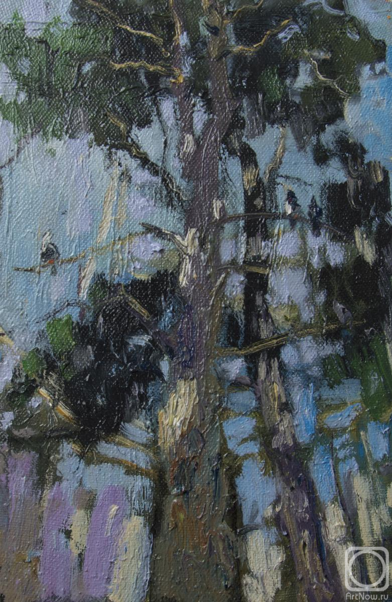 ������� ������ �� ������. ������ ������. ����� � ������