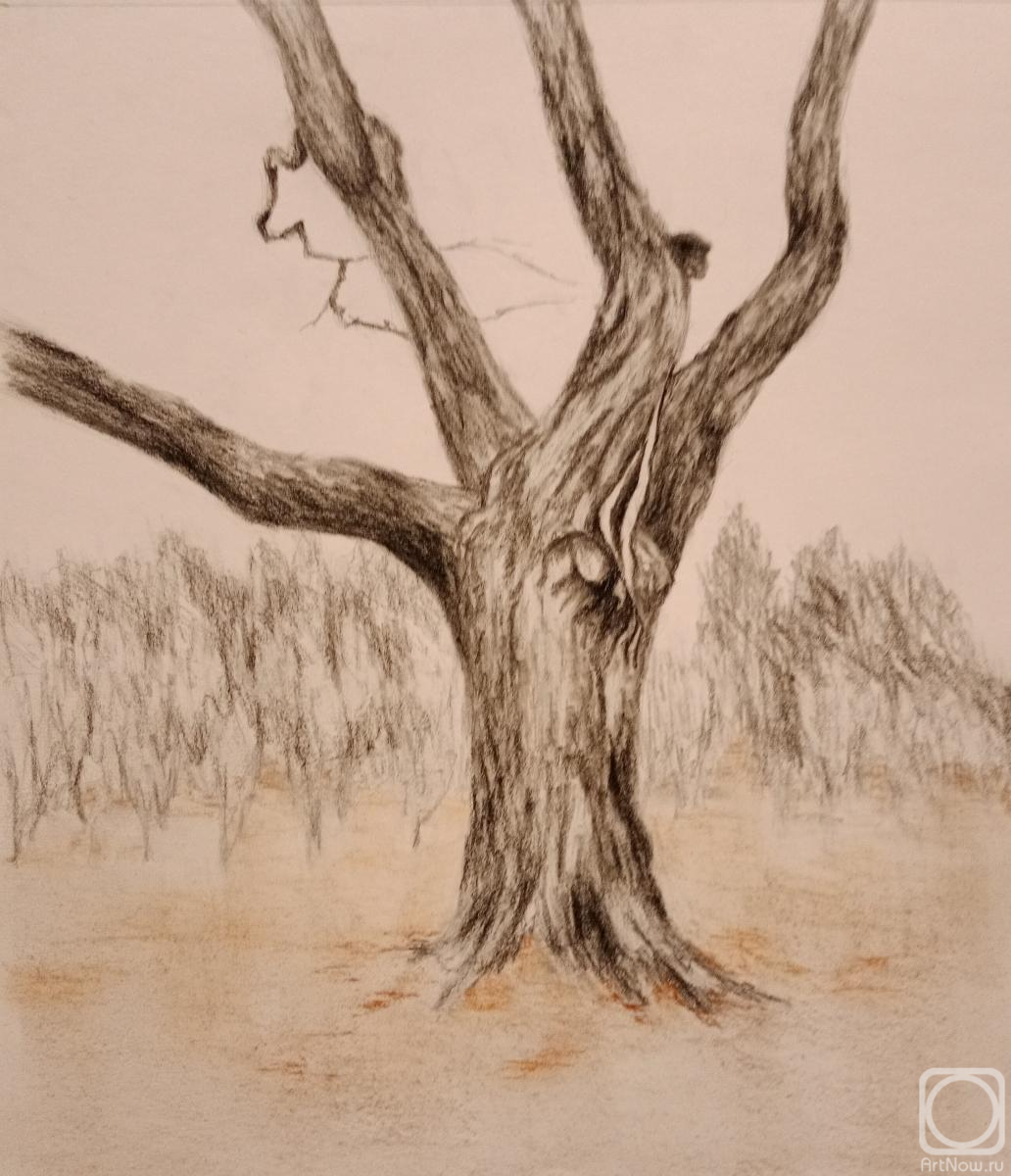 �������. ��������� �������. ��� ��������