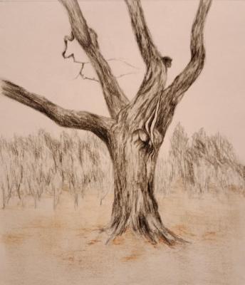 ��� ��������. ��������� �������